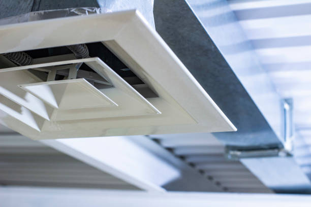 Best Affordable HVAC Duct Cleaning  in Almont, MI
