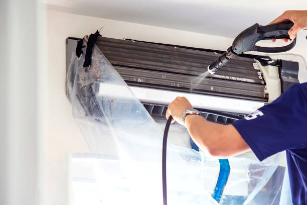 Best Residential Air Duct Cleaning  in Almont, MI