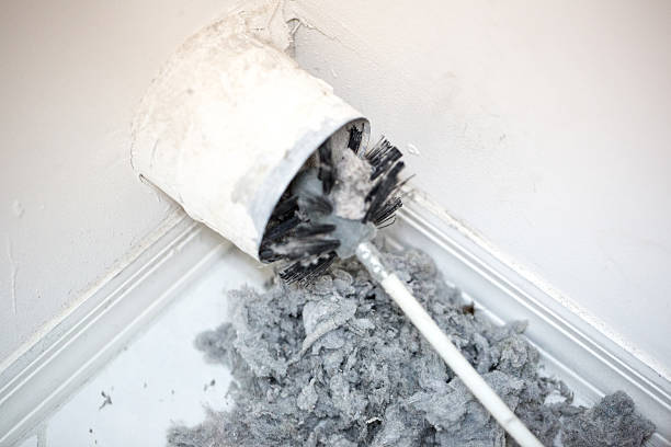 Best HVAC System Cleaning  in Almont, MI
